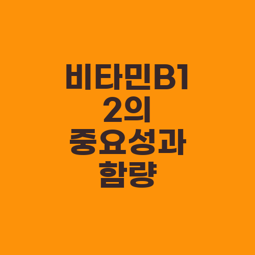 비타민B12의 중요성과 함량