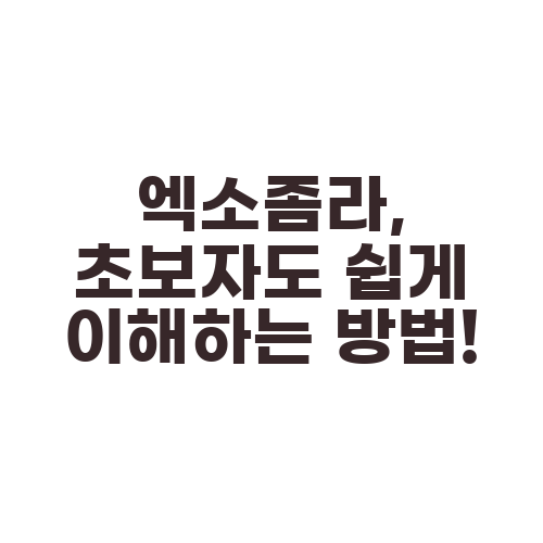 엑소좀라, 초보자도 쉽게 이해하는 방법!