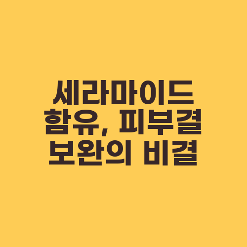 세라마이드 함유, 피부결 보완의 비결