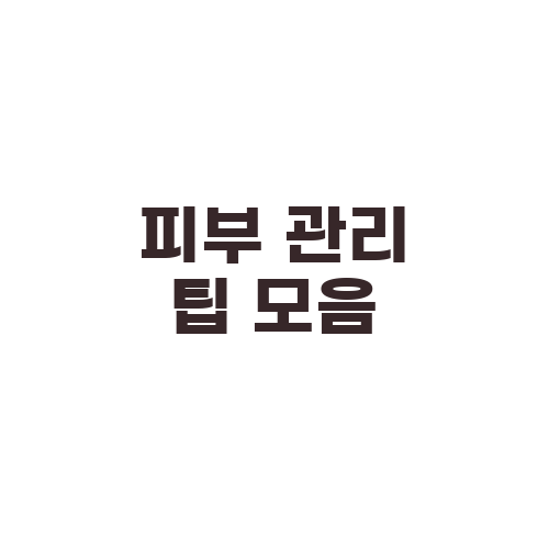 피부 관리 팁 모음