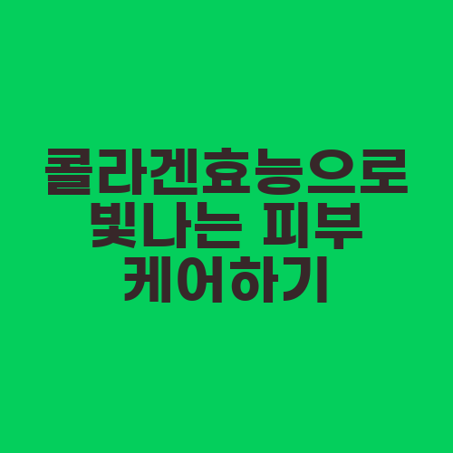 콜라겐효능으로 빛나는 피부 케어하기